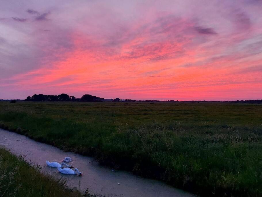Tiny House "De Veenpolder" De Veenhoop Экстерьер фото